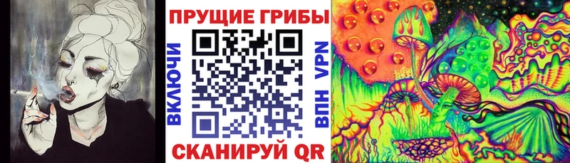 купить  сайты  блэк спрут сайт  Псилоцибиновые грибы GOLDEN TEACHER  Калининск 